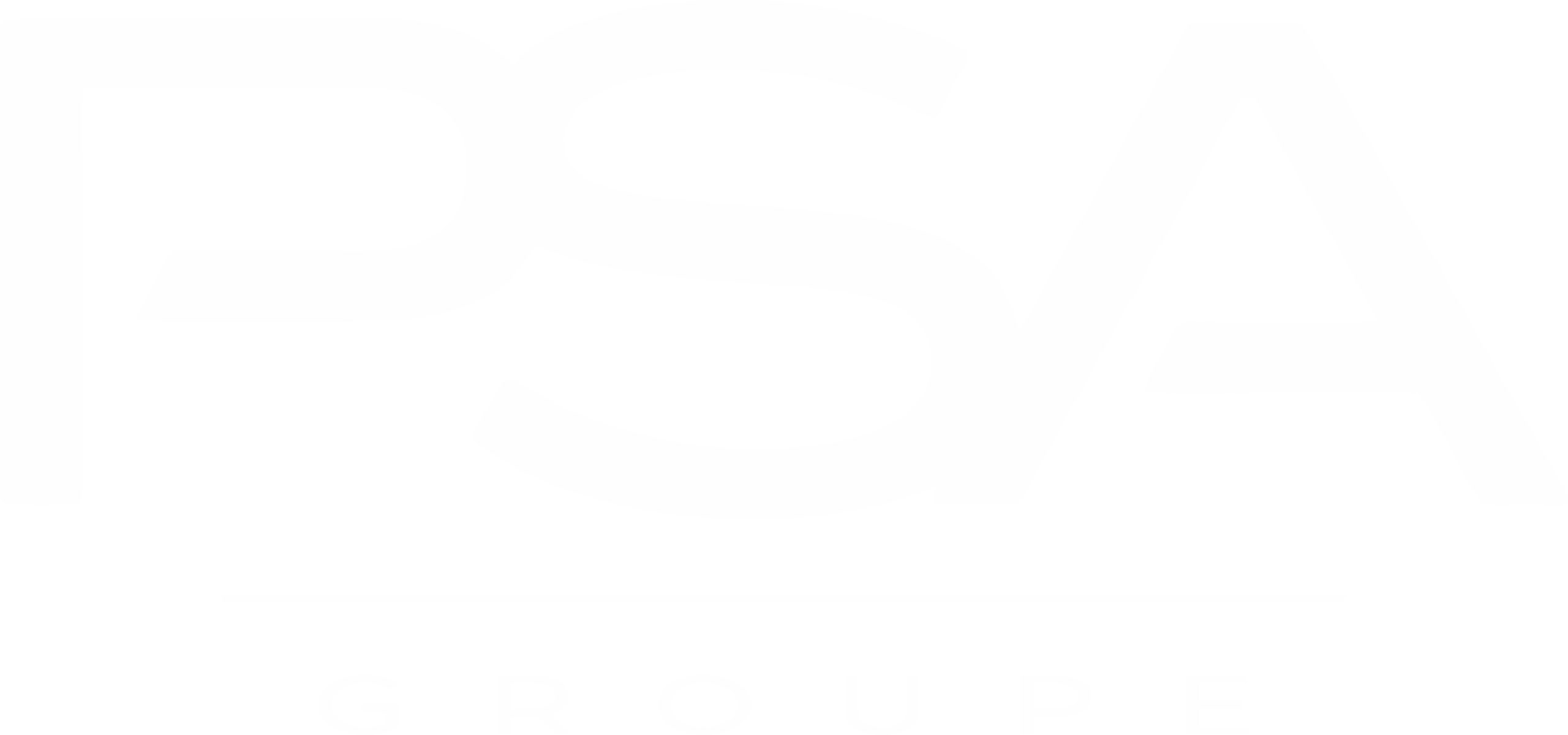 Uşak Psa Groupe – Oto Servis
